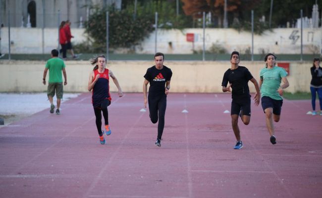 Αθλητική Ένωση Μεσογείων «Αμεινίας ο Παλληνεύς»